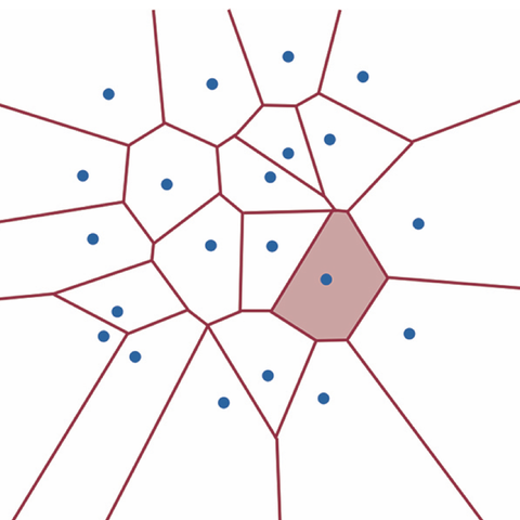 Graphical abstract