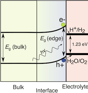 Graphical abstract