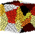 Graphical abstract