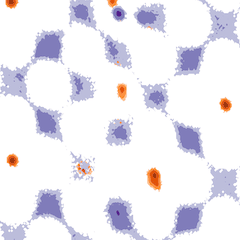 Graphical abstract