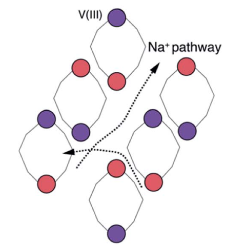 Graphical abstract