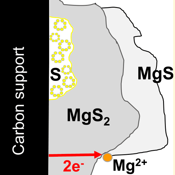 Graphical abstract