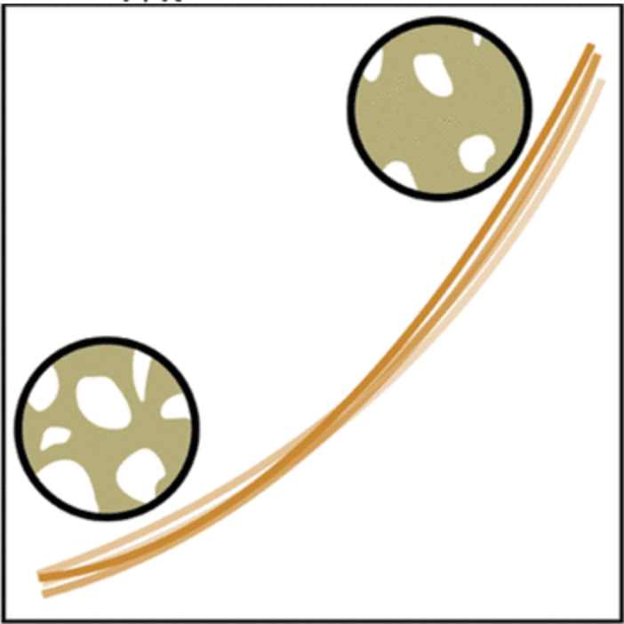 Graphical abstract