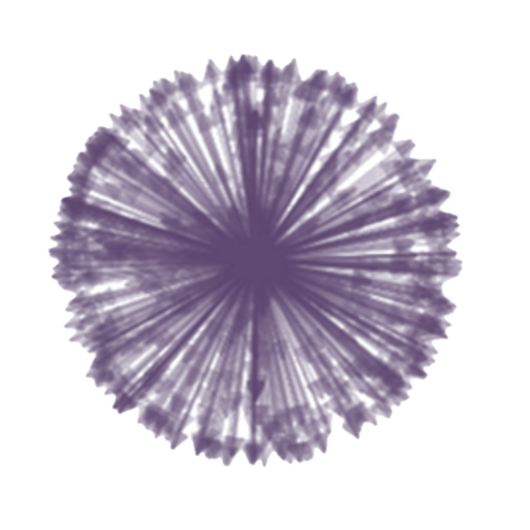 Graphical abstract