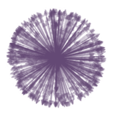 Graphical abstract